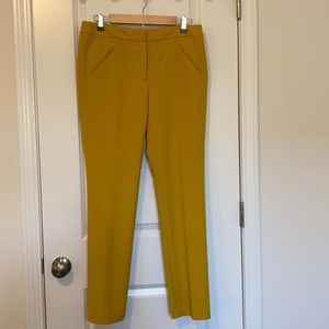 NWT Tahari pants size 6